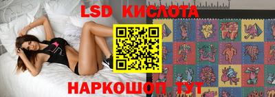 mdpv Краснознаменск