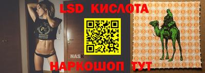 mdpv Краснознаменск