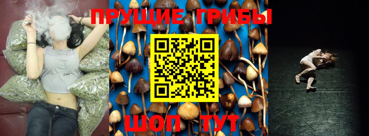 Ефремов  Псилоцибиновые грибы мицелий  Вход с VPN  Галлюциногенные грибы GOLDEN TEACHER 